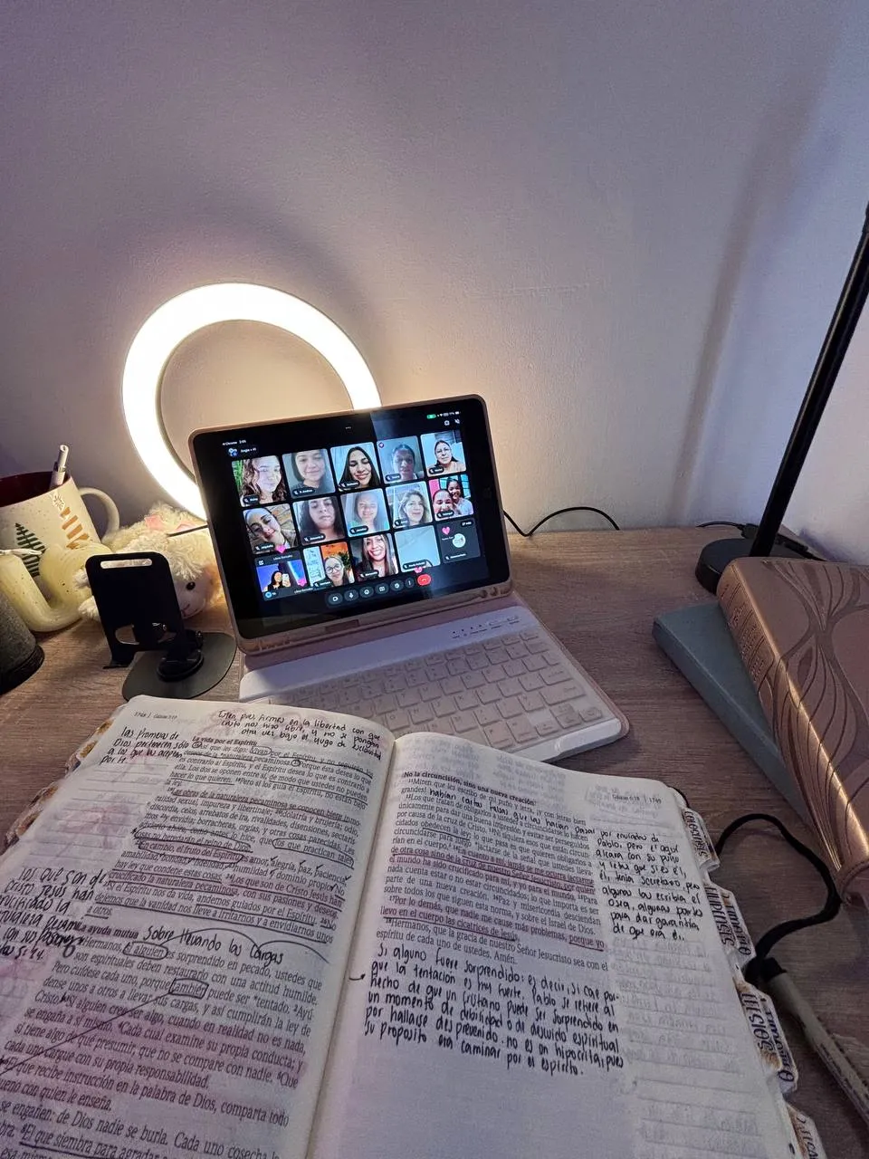 Sesión en vivo por Zoom con chicas del plan y Biblias abiertas